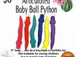 Baby Ball Pythons